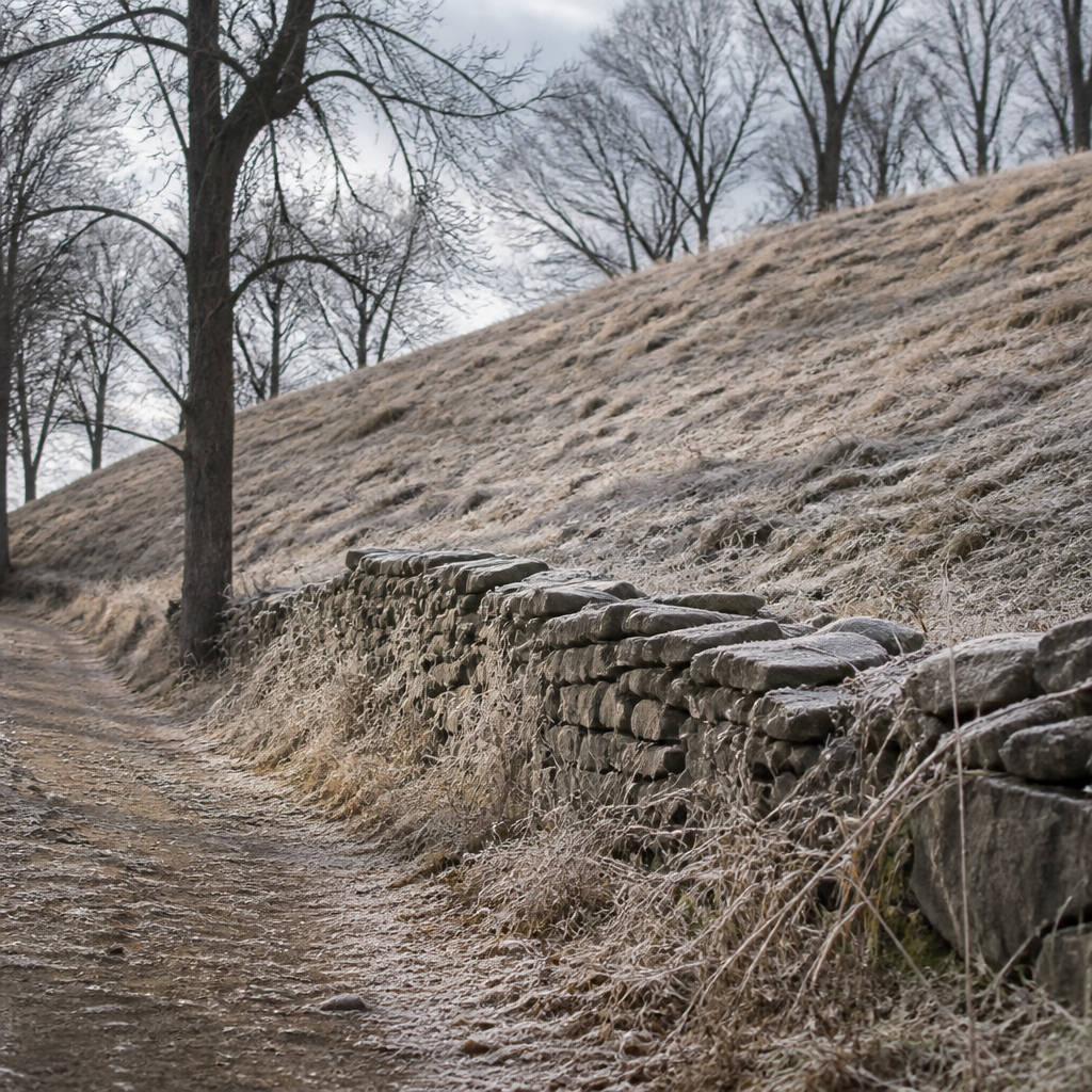 A low dry stone wall running along a sunken farm lane at the foot of a bare winter slope, frost on the grass, leafless trees above the crest and grey overcast sky.